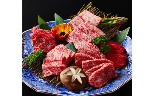 【定期便】２か月に１回　特撰近江牛定期便　焼肉３種食べ比べセット全6回【FO45W】