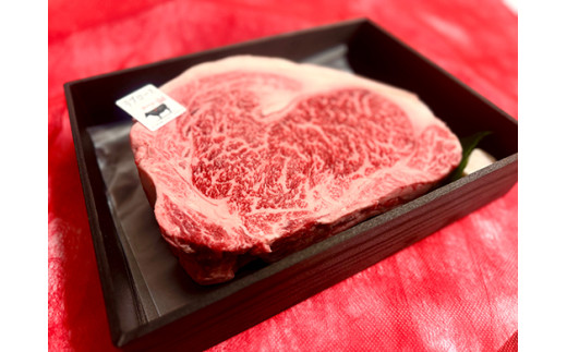 【定期便】近江牛定期便　塊肉　ブロック肉赤身霜降り食べ比べ　全2回【FO47W】