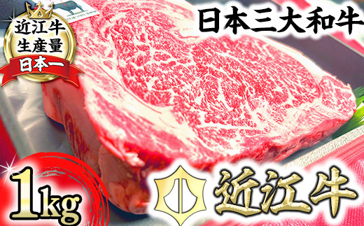 【定期便】近江牛定期便　塊肉　ブロック肉赤身霜降り食べ比べ　全2回【FO47W】