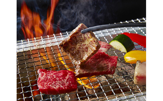 【定期便】２か月に１回　特撰近江牛定期便　焼肉３種食べ比べセット全6回【FO48W】