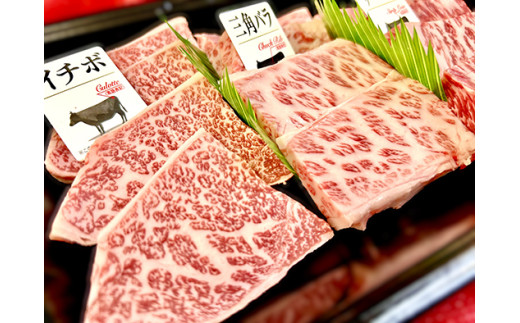 【定期便】２か月に１回　特撰近江牛定期便　焼肉３種食べ比べセット全6回【FO48W】