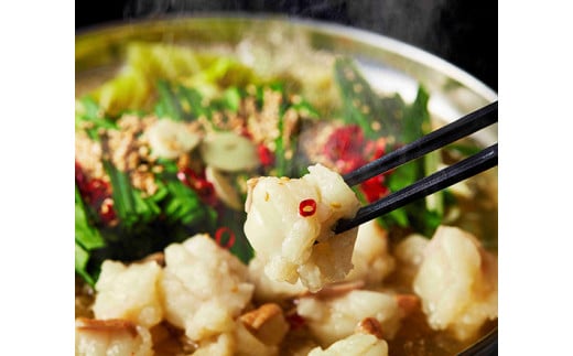 【定期便】定期便　ホルモン屋が作った本気のもつ鍋セット塩味　全3回【FO56W】