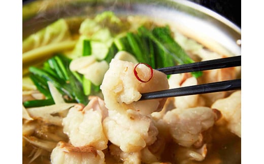 【定期便】定期便　ホルモン屋が作った本気のもつ鍋セット塩味　全3回【FO56W】