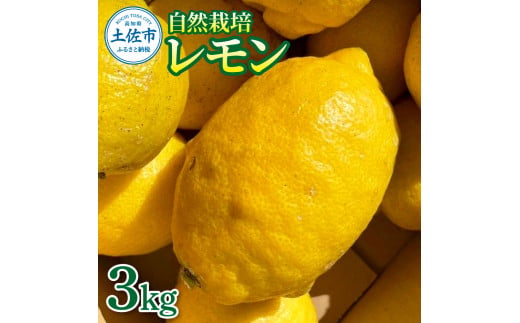 自然栽培レモン3kg