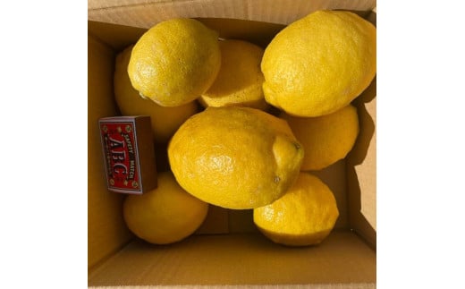 自然栽培レモン2kg