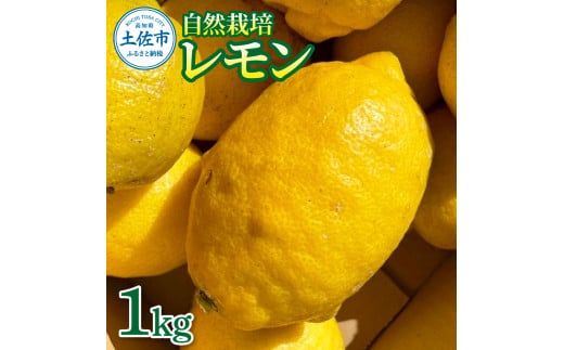 自然栽培レモン1kg