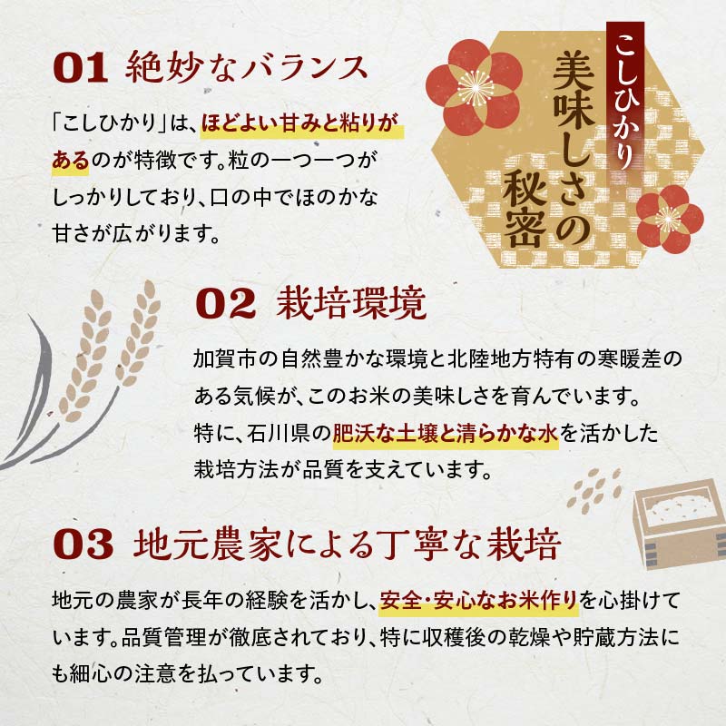 【通常発送】復興応援米 令和7年産こしひかり 5kg 精米 銘柄米 お米 米 ギフト 贈り物 グルメ 食品 復興 震災 コロナ 能登半島地震 復興支援 北陸新幹線 F6P-2918