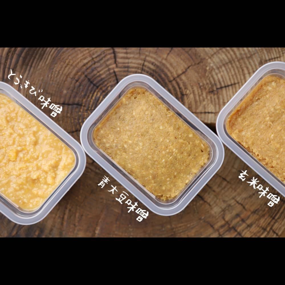 12-205 【年内配送12月15日入金まで】味噌3個（とうきび味噌・玄米味噌・青大豆味噌）【オホーツクの味噌蔵セレクション】 within2025