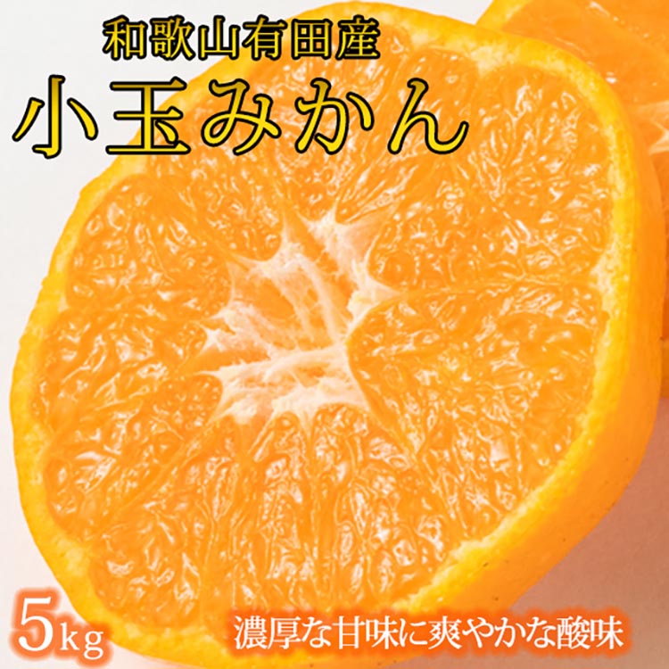 【和歌山県美浜町】有田の小玉みかん5kg(S〜3Sサイズ混合)◇|みかん ミカン 柑橘 果物 くだもの フルーツ 甘い 小玉 先行予約 国産 濃厚 絶妙 糖度 酸味 産地直送 美浜町 ※2025年11月下旬?12月下旬頃に順次発送予定