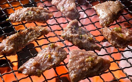 カシワファーム 焼肉バラエティセットA 立山放牧牛 ホルモン 豚 豚肉 焼肉 おかず 時短 冷凍 富山県 立山町 お歳暮 お中元 F6T-446