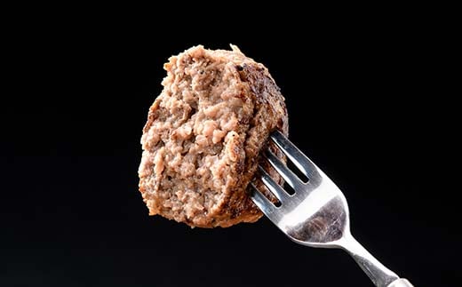 立山産まれ松阪牛 ハンバーグ 150g×10個 カシワファーム 和牛 牛肉 おかず 惣菜 時短 冷凍 富山県 立山町 お歳暮 お中元 F6T-445