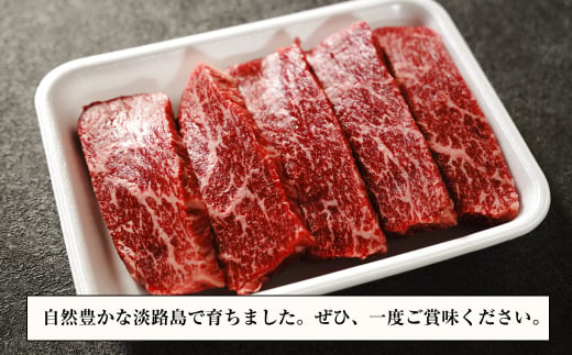 淡路牛 赤身ステーキ 500g（約100g×5枚） 【3D急速冷凍】 赤身肉 牛肉
