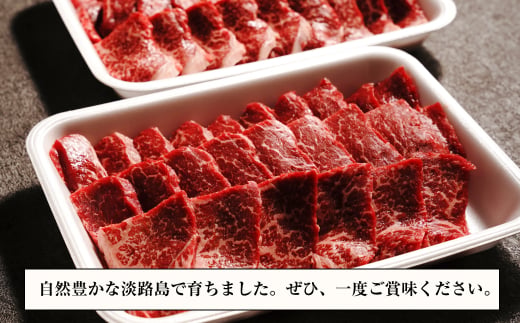 淡路牛 赤身 焼肉セット 1kg（500g×2P) 【3D急速冷凍】 赤身 焼肉セット