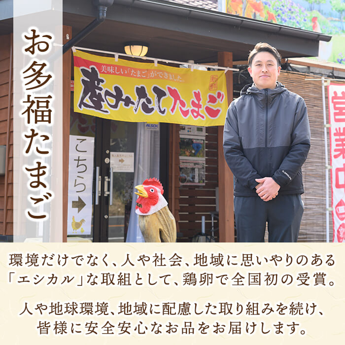 鹿児島県霧島市のふるさと納税 K-173-A ＜通常便＞オーガニック卵「お多福たまご」(計30個・10個入×3パック)【お多福たまご】有機JAS オーガニック 放し飼い自然卵 霧島市 国産 九州産 鹿児島県産 たまご 卵 鶏卵 朝食 通常便