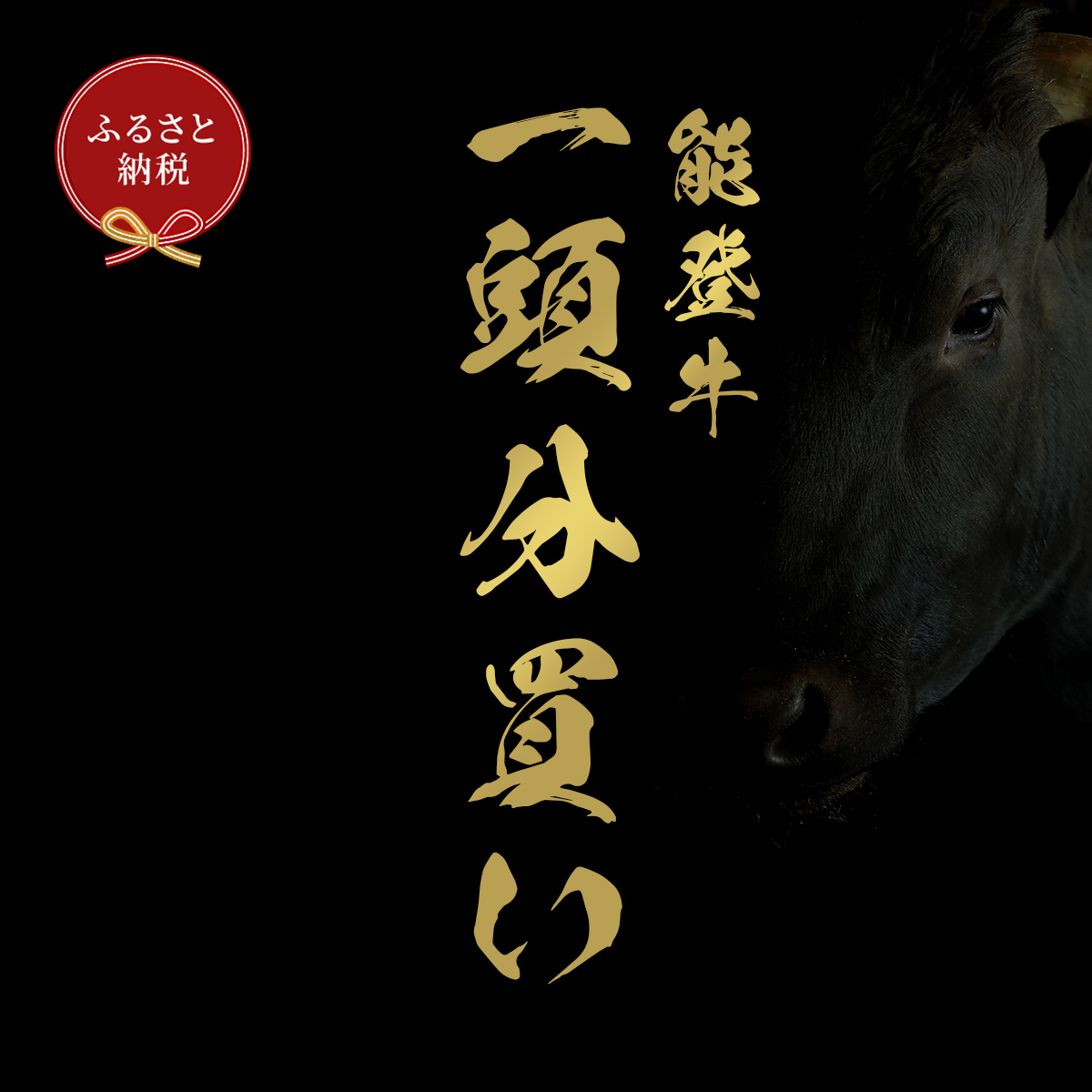 九谷焼 4.2号皿揃 古九谷風名品絵変わり（5枚セット） a01
