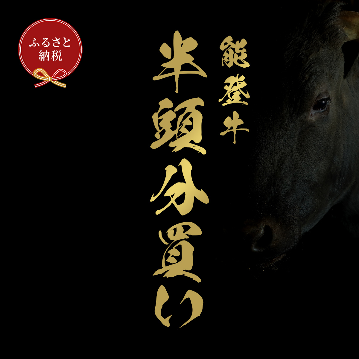 【石川県能美市】肉【和牛セレブ】能登牛 半頭買い(一括配送)11個口 黒毛和牛 霜降り ギフト 石川県 能美市