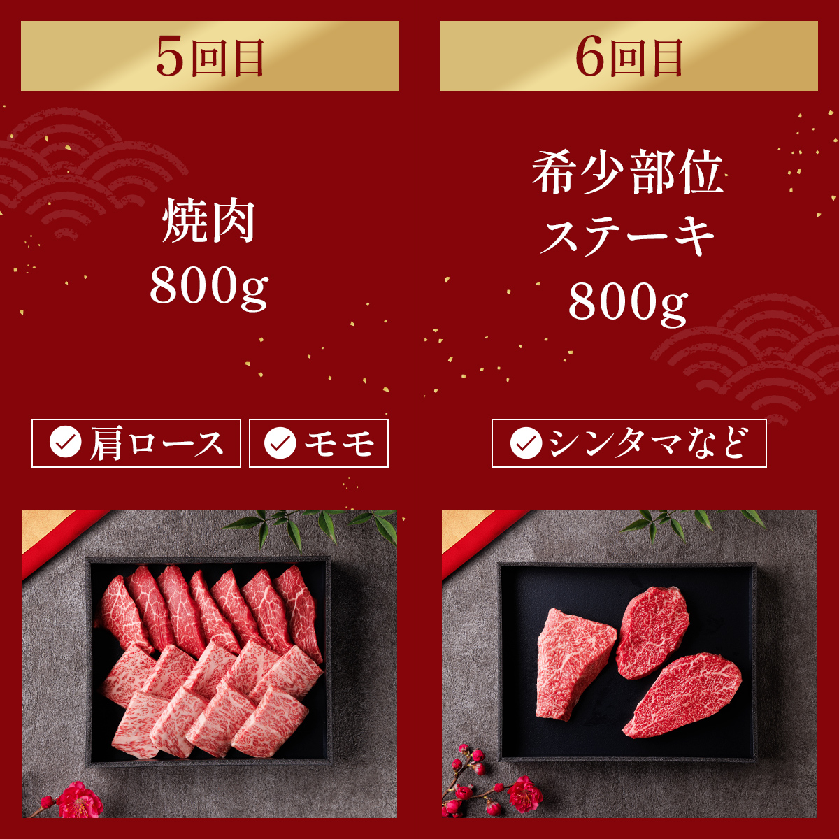 肉【和牛セレブ】能登牛 定期便「ファーストクラス」全6回 特選 しゃぶしゃぶ すき焼き 焼肉 ステーキ ギフト 石川県 能美市