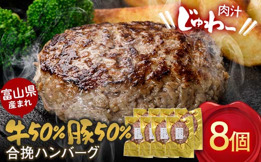 【富山県立山町】富山県産 牛50% 豚50% 合挽ハンバーグ 8個セット カシワファーム 和牛 牛肉 おかず 惣菜 時短 冷凍 富山県 立山町 お歳暮 お中元 F6T-553