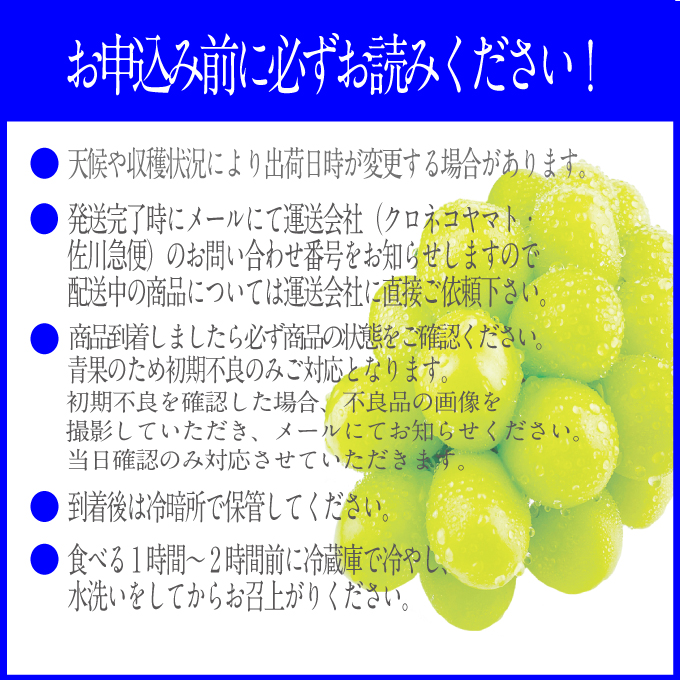 2025年予約受付中【2回 定期便】 プレミアムシャインマスカット晴王 1房約700g 人気 岡山県産 赤秀品 種無し 皮ごと食べる みずみずしい 9月・10月にお届け ハレノフルーツ