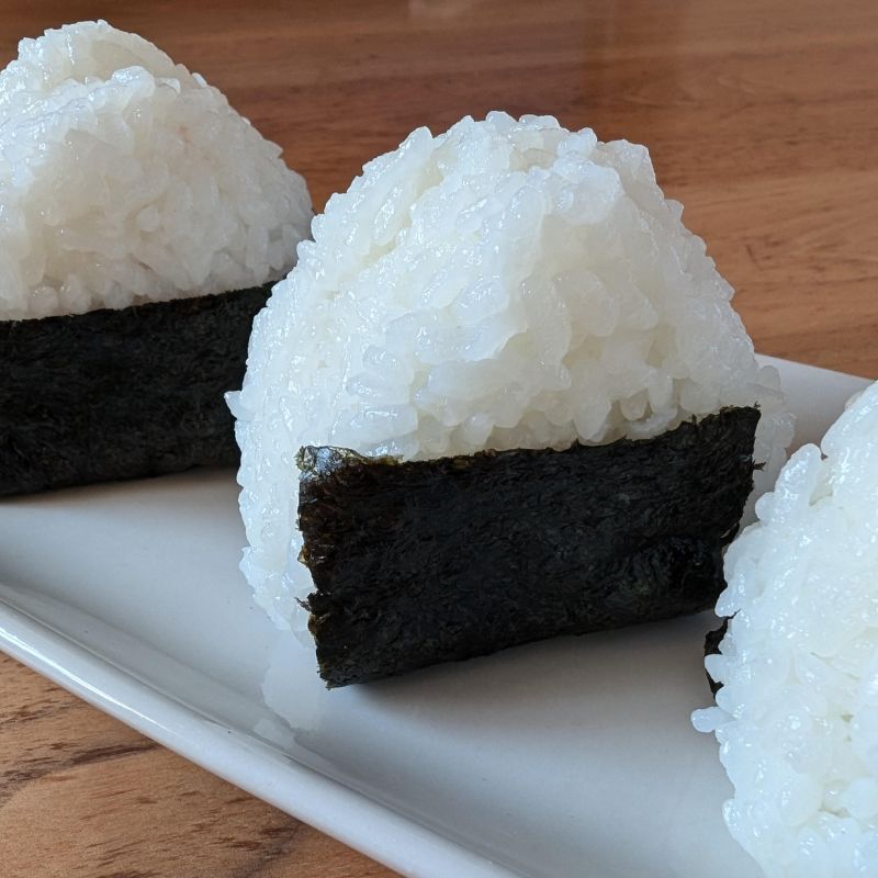 米 無洗米 令和7年産 コシヒカリ 5kg×1 秋田県 にかほ市 お米 こめ