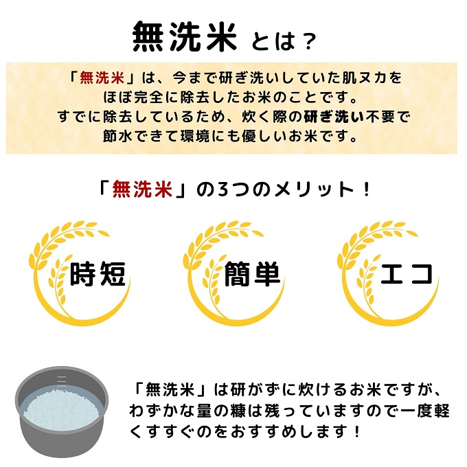 米 無洗米 令和7年産 コシヒカリ 5kg×2 秋田県 にかほ市 お米 こめ