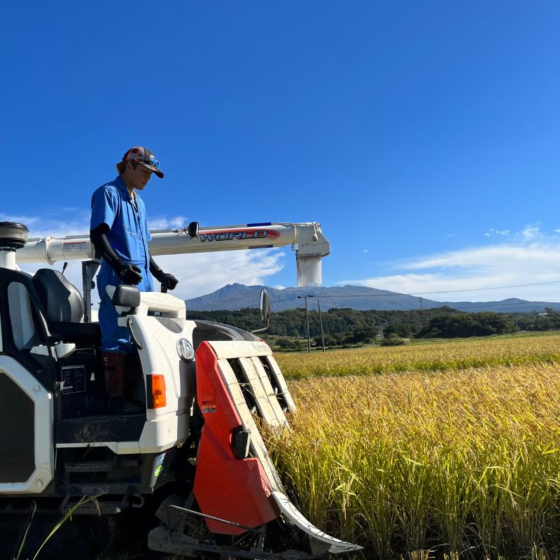 米 無洗米 令和7年産 コシヒカリ 5kg×2 秋田県 にかほ市 お米 こめ