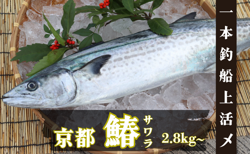 ys{{Îsz{ށuID㊈YTvs{