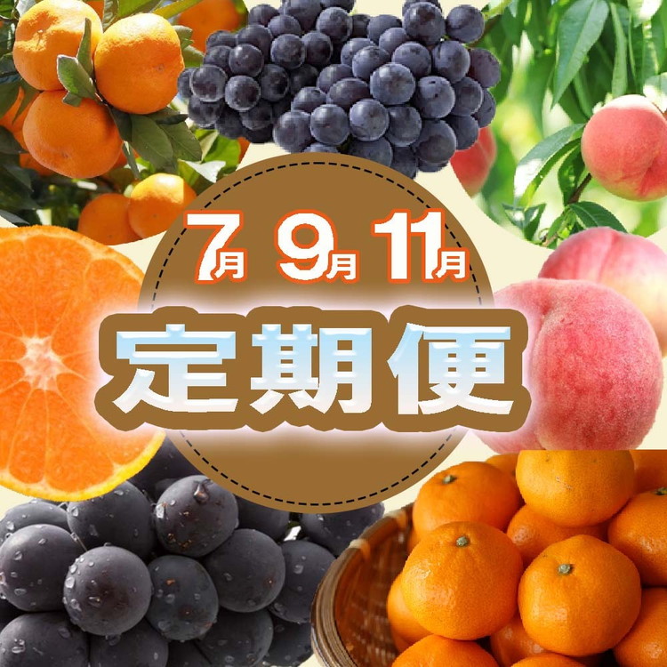 【和歌山県美浜町】〈定期便〉【7・9・11月 全3回】産直・和歌山フルーツ(桃・ピオーネ・有田みかん)※北海道・沖縄・離島への配送不可