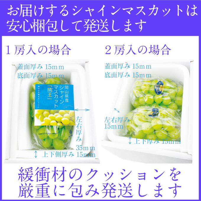2026年予約受付中 シャインマスカット晴王2房 約1.4kg 7月～8月出荷 人気 岡山県産 種無し 皮ごと食べる みずみずしい フレッシュ 晴れの国 おかやま 果物大国 ハレノフルーツ