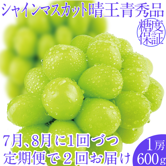 �y���R�����˓��s�z2026�N��s�\��y2�����ցz �V���C���}�X�J�b�g����1�[ ��600g 7��8���ɏo�� �l�C ���R���Y �햳�� �炲�ƐH�ׂ� �݂��݂����� �t���b�V�� ����̍� ������� �ʕ��卑 �n���m�t���[�c