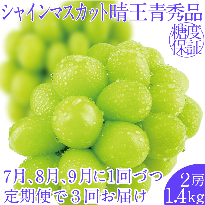 2026年先行予約【3回定期便】シャインマスカット晴王2房 約1.4kg 7月8月9月に出荷 人気 岡山県産 種無し 皮ごと食べる みずみずしい ハレノフルーツ
