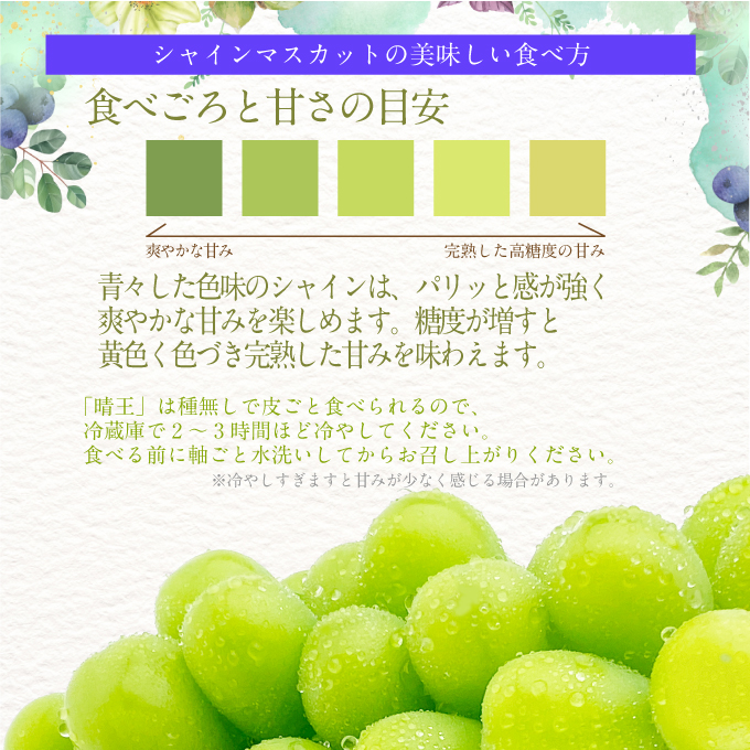 2026年先行予約【3回定期便】シャインマスカット晴王2房 約1.4kg 7月8月9月に出荷 人気 岡山県産 種無し 皮ごと食べる みずみずしい ハレノフルーツ