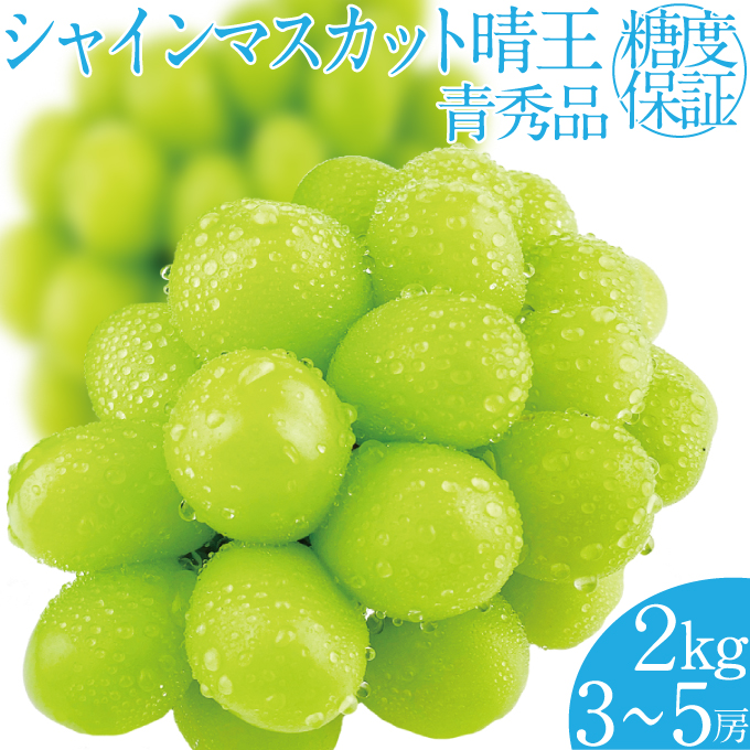 �y���R�����˓��s�z2026�N ��s�\���t�� �V���C���}�X�J�b�g���� ��2kg(3�`5�[) ���R���Y �햳�� �炲�ƐH�ׂ� �݂��݂����� �Â� �t���b�V�� ���˓� ����̍� ������� �ʕ��卑 �n���m�t���[�c