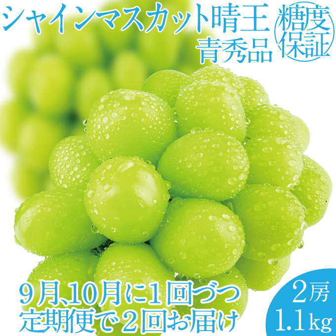 rr...出品　季節先取り【晴れの国岡山県産】温室栽培シャインマスカット rr様専用出品 季節先取り【晴れの国岡山県産】温室栽培