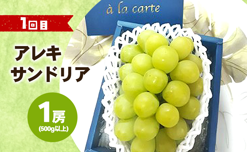 【2026年 先行予約】 ぶどう 桃 ぼっけぇうめぇ フルーツ 定期便 2回 コース ( マスカットオブアレキサンドリア ・ 白桃 )《2026年7月-9月出荷》 岡山県産 フルーツ 果物 数量限定 里庄町