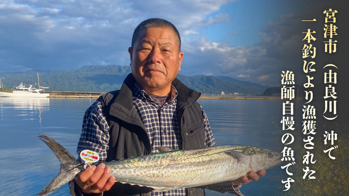一本釣「特選船上活〆サワラ」京都宮津