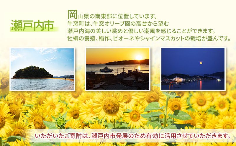 瀬戸内市への応援寄附（返礼品はありません）1口 1,000円 返礼品なし