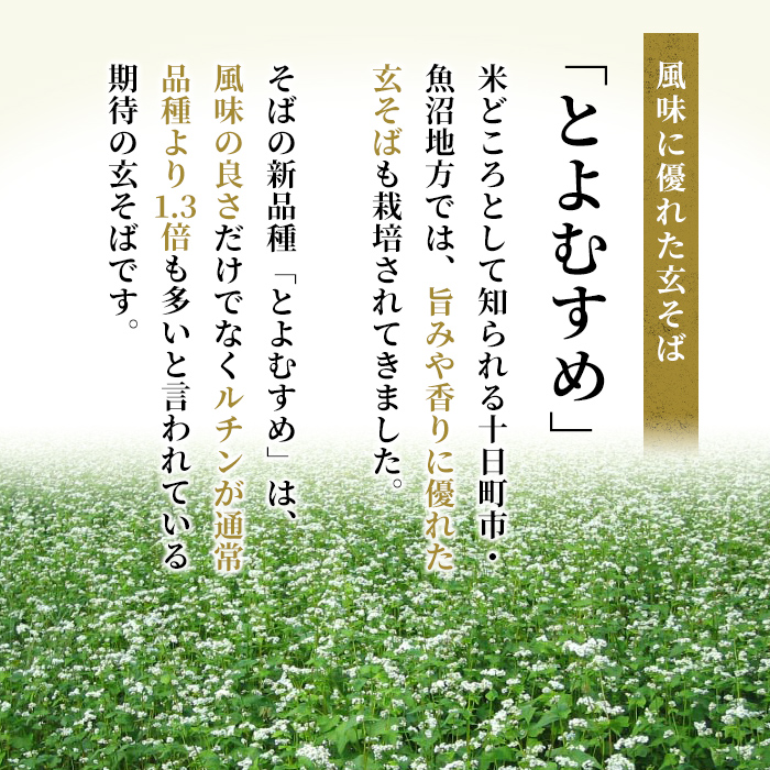 小嶋屋総本店 最高級乾麺魚沼手繰りそば8把つゆ付 麺類 蕎麦 へぎそば めんつゆ そばつゆ 