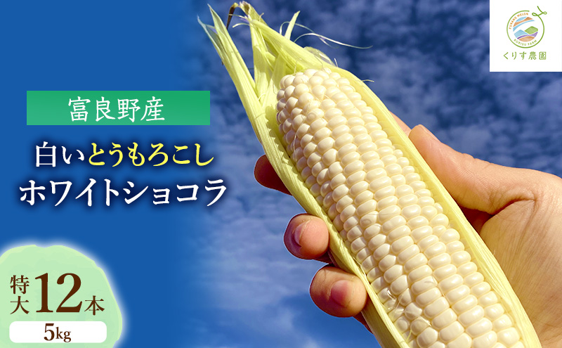 【北海道富良野市】【2026年9月より順次発送】北海道富良野産白い"とうもろこし"「ホワイトショコラ」 特大12本(約5kg)