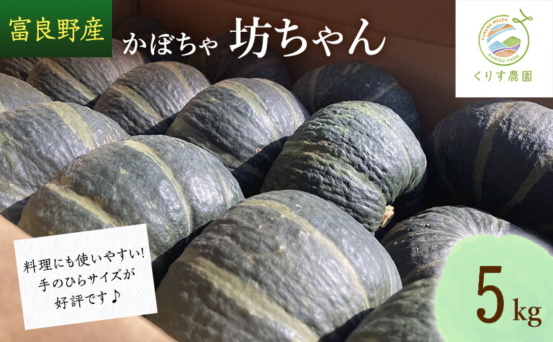 【北海道富良野市】【2026年10月より順次発送】北海道富良野産かぼちゃ「坊ちゃん」5kg ※手のひらサイズが好評です!