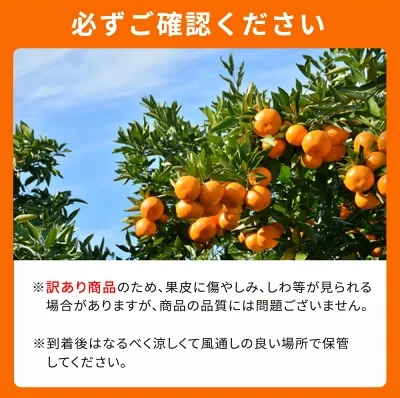 G7357_【2026年先行予約】紀州有田産 不知火 (しらぬい)【家庭用 訳あり】3kg デコポン フルーツ デザート 柑橘 果物 果実 みかん お取り寄せ 和歌山県 湯浅町 送料無料