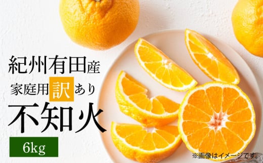 ya̎RLcS󒬁zG7358_y2026Ns\zIBLcY sm (ʂ)yƒp 󂠂z6kg fR| t[c fU[g k ʕ ʎ ݂  a̎R  