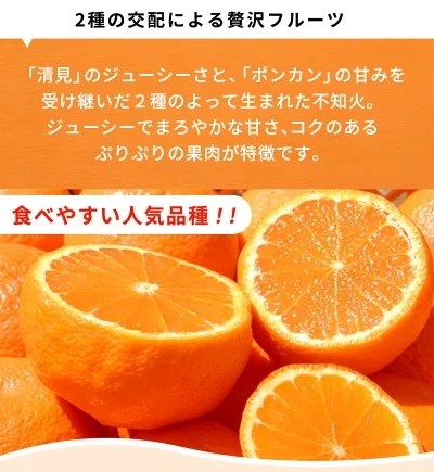 G7358_【2026年先行予約】紀州有田産 不知火 (しらぬい)【家庭用 訳あり】6kg デコポン フルーツ デザート 柑橘 果物 果実 みかん お取り寄せ 和歌山県 湯浅町 送料無料