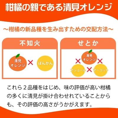 【和歌山県有田郡湯浅町】G7328_【2026年先行予約】とにかくジューシー 清見 オレンジ 2.5kg フルーツ 果物 柑橘 果実 甘い 果汁 ジューシー コク 柑橘の親 国産 食品 食べ物 魚鶴商店 平成の三大柑橘 お取り寄せ 和歌山県 湯浅町 送料無料