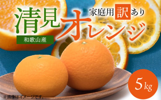 G7329_Y_【直営限定】【2026年先行予約】紀州有田産 清見 オレンジ 5kg