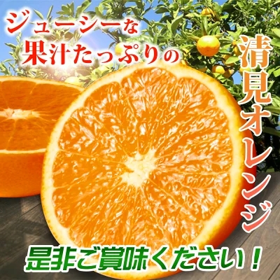 G7329_Y_【直営限定】【2027年先行予約】紀州有田産 清見 オレンジ 5kg
