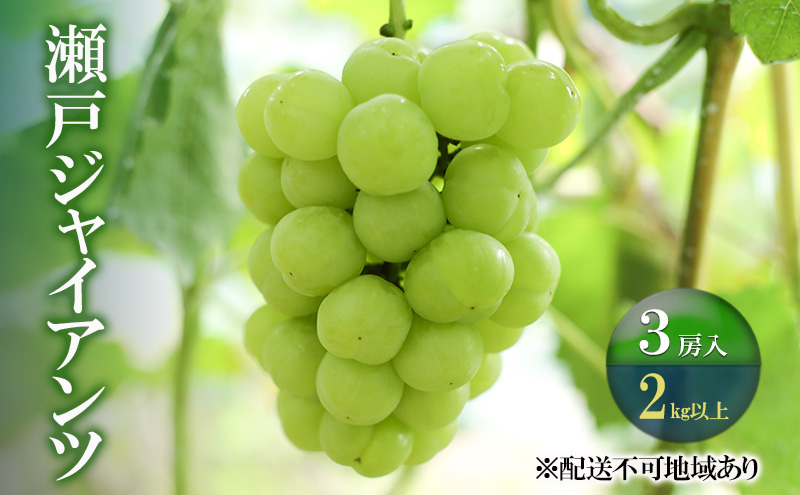 【岡山県玉野市】ぶどう 2026年 先行予約 瀬戸ジャイアンツ 3房(合計2kg以上) ブドウ 葡萄 岡山県産 国産 フルーツ 果物 ギフト 河本農園