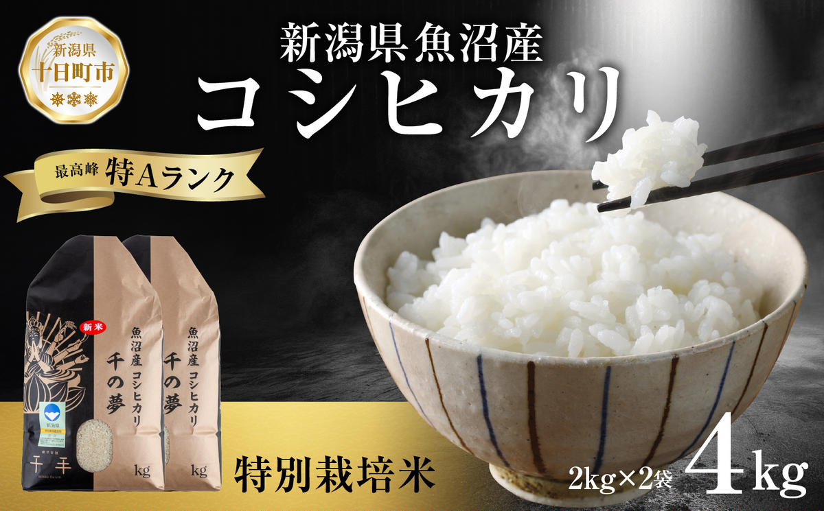 魚沼産 コシヒカリ 特別栽培米 精米 4kg 米 コメ お米 ごはん ご飯 白米 こしひかり 新潟県産 魚沼 人気 国産 産地直送 お取り寄せ 送料無料 新潟県 十日町