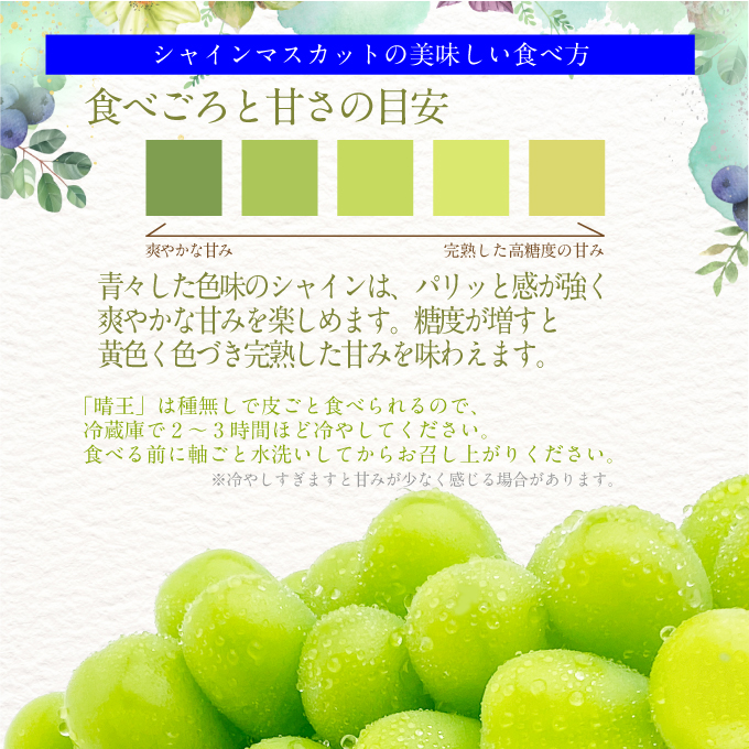 2026年予約受付中【2回定期便】 プレミアムシャインマスカット晴王 1房約700g/人気 岡山県産 赤秀品  種無し 皮ごと食べる みずみずしい 9月・10月にお届け   ハレノフルーツ