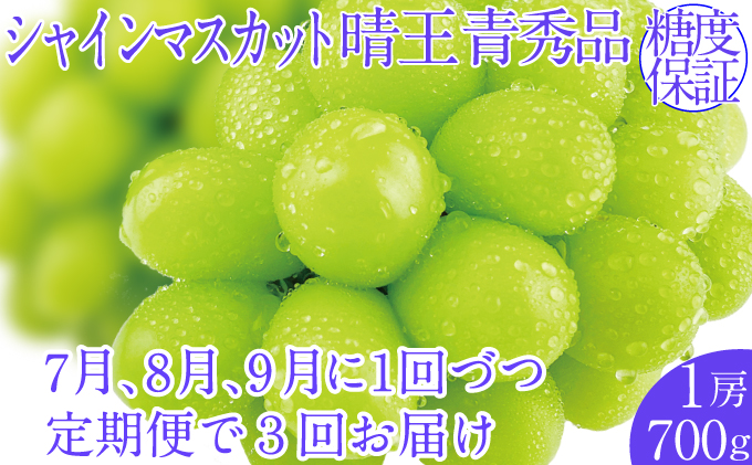 �y���R���ʖ�s�z2026�N�\���t���y3�����ցz�V���C���}�X�J�b�g����1�[ ��700g 7��8��9���ɏo��  �l�C ���R���Y �햳�� �炲�ƐH�ׂ� �݂��݂�����   ������� �ʕ��卑 �n���m�t���[�c